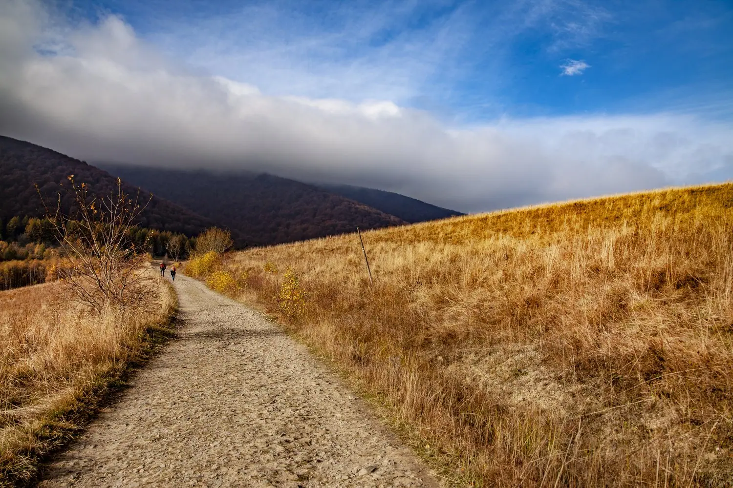 Najciekawsze szlaki trekkingowe dla początkujących