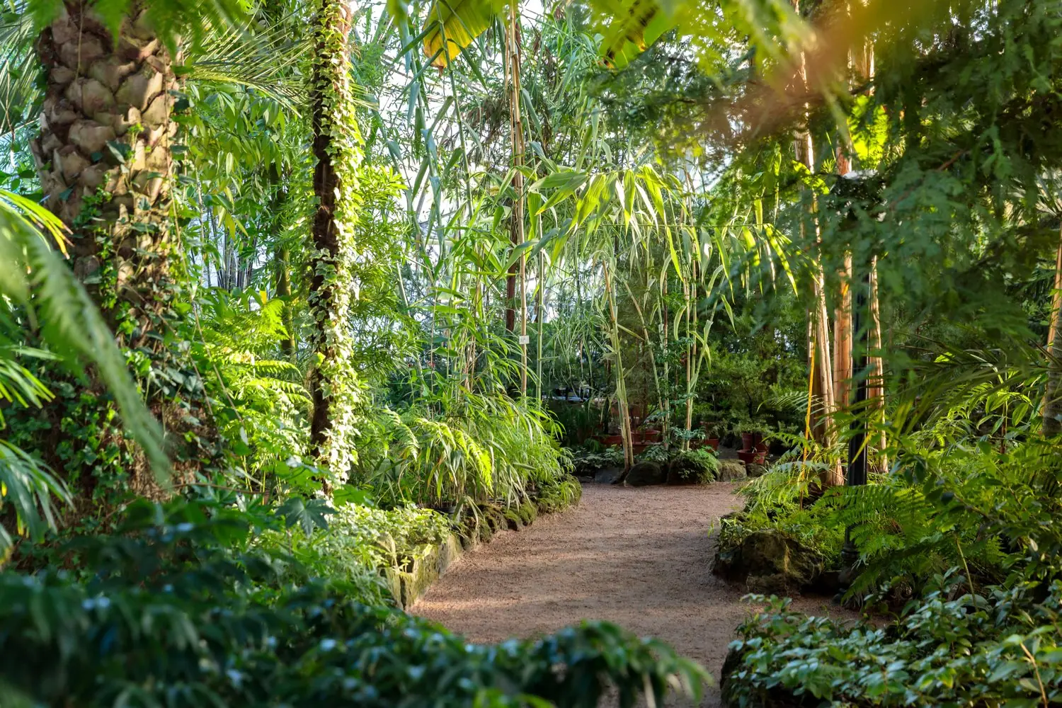 Najpiękniejsze ogrody botaniczne świata: Przewodnik dla miłośników roślin