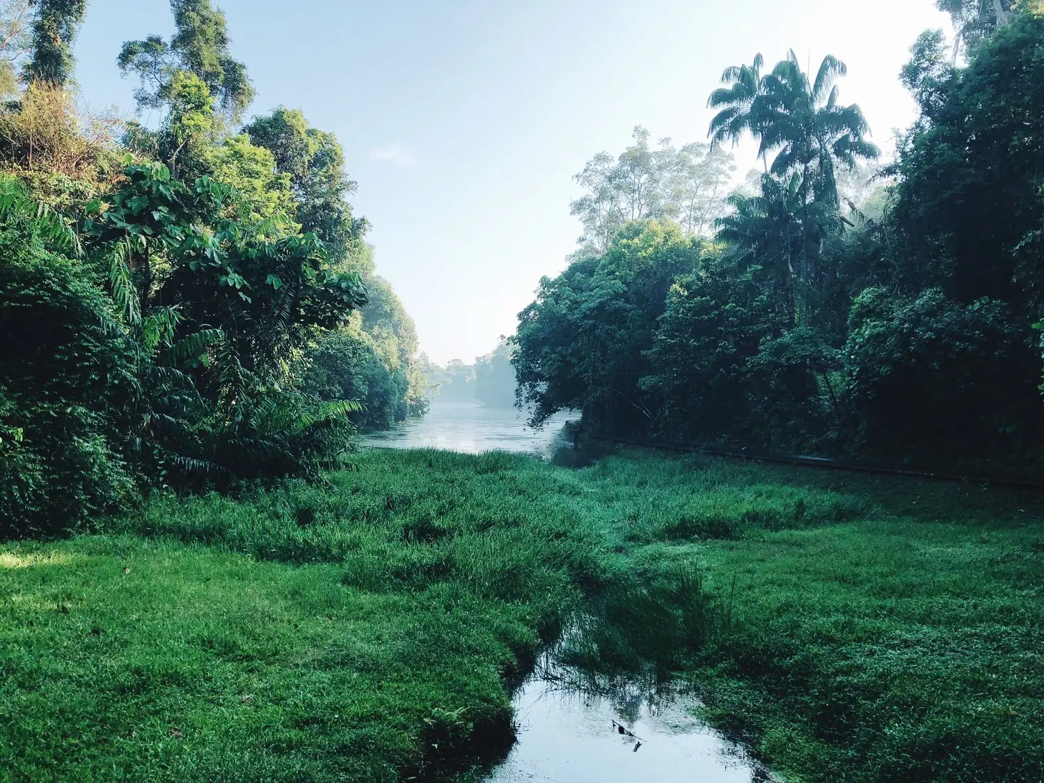 Gujana Francuska: Amazonia z europejskim komfortem