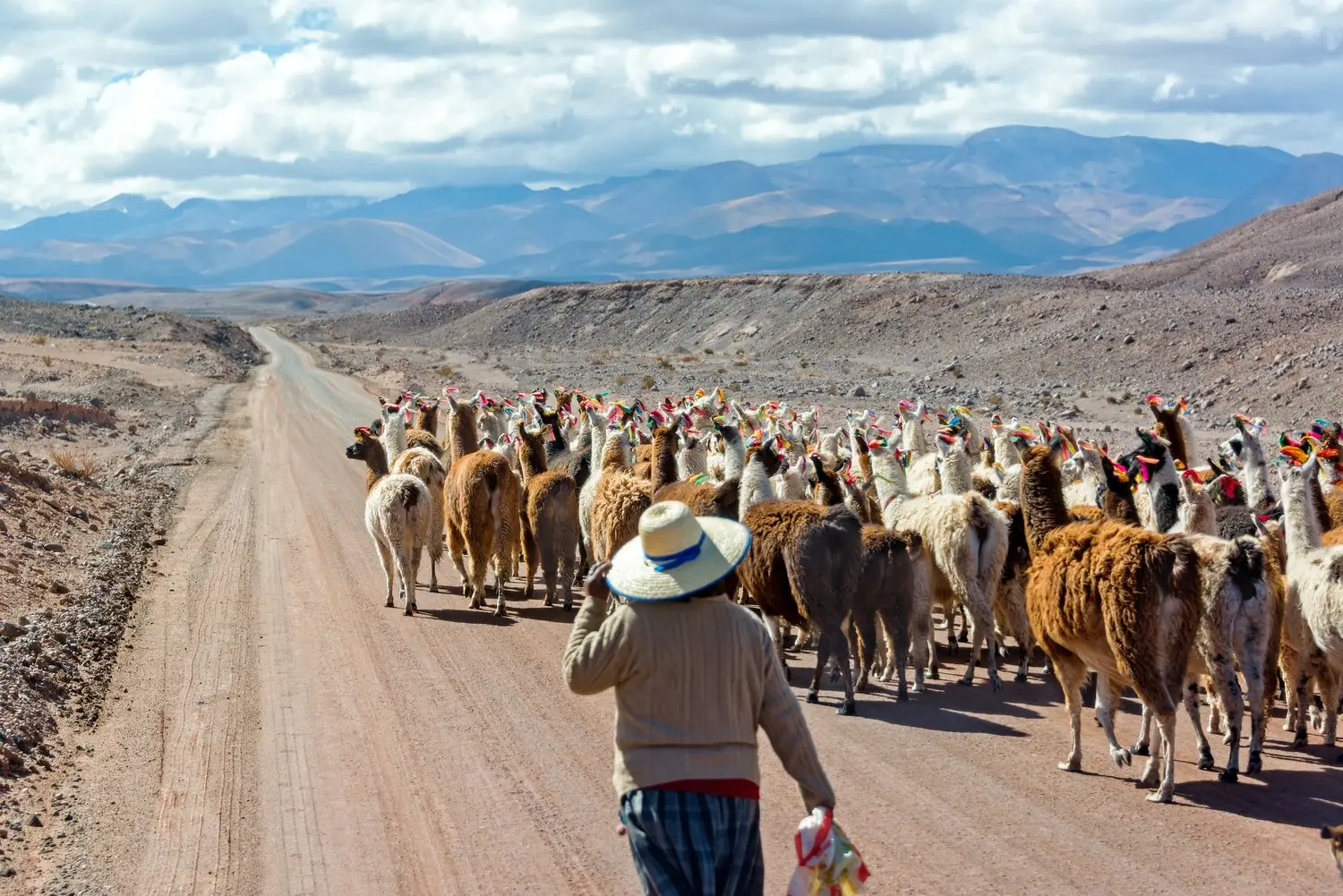 Transport górski w Peru: Jak dotrzeć do Machu Picchu różnymi sposobami